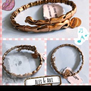 Alex and Ani Vintage Raefaelin Water Metal Wrap